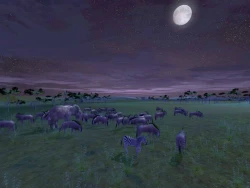 Скриншот к игре Wild Earth: Africa
