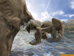 Скриншот к игре Wild Earth: Africa