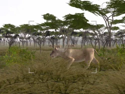 Wild Earth: Africa Screenshots