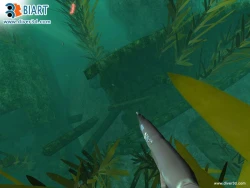 Скриншот к игре Diver: Deep Water Adventures