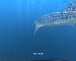 Diver: Deep Water Adventures Screenshots