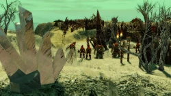 Скриншот к игре SpellForce 2: Shadow Wars