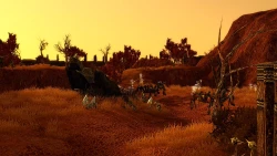 Скриншот к игре SpellForce 2: Shadow Wars