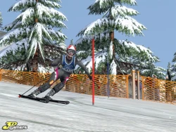Скриншот к игре Ski Alpin 2006