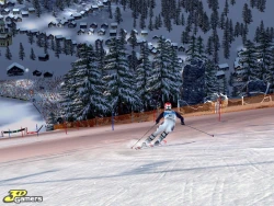 Скриншот к игре Ski Alpin 2006