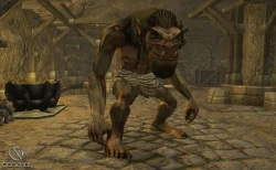Скриншот к игре Neverwinter Nights 2