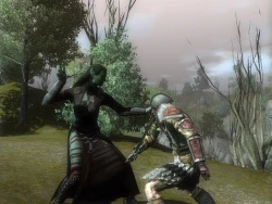 Скриншот к игре Neverwinter Nights 2