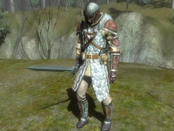 Скриншот к игре Neverwinter Nights 2