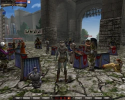 Скриншот к игре Knight Online