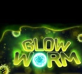 Glow Worm