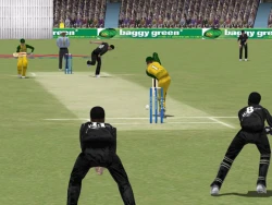Скриншот к игре Cricket 2004