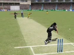 Скриншот к игре Cricket 2004