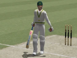 Скриншот к игре Cricket 2004
