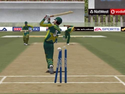 Скриншот к игре Cricket 2004