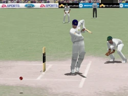 Скриншот к игре Cricket 2004