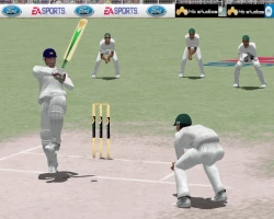 Скриншот к игре Cricket 2004