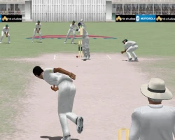 Скриншот к игре Cricket 2004