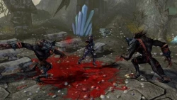 Скриншот к игре Sacred 2: Fallen Angel