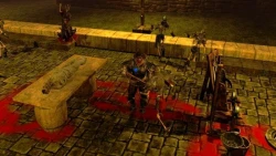 Скриншот к игре Sacred 2: Fallen Angel