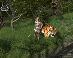 Скриншот к игре Sacred 2: Fallen Angel