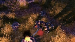 Скриншот к игре Sacred 2: Fallen Angel