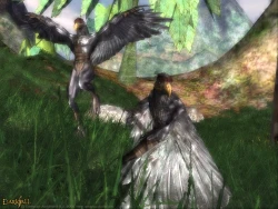 Скриншот к игре Darkfall Online