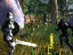 Скриншот к игре Darkfall Online