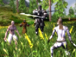 Скриншот к игре Darkfall Online