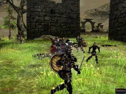 Скриншот к игре Darkfall Online