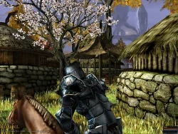 Скриншот к игре Darkfall Online