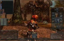 Скриншот к игре Darkfall Online