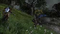 Скриншот к игре Darkfall Online