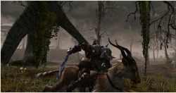Скриншот к игре Darkfall Online