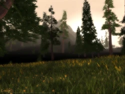 Скриншот к игре Darkfall Online