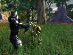 Скриншот к игре Darkfall Online