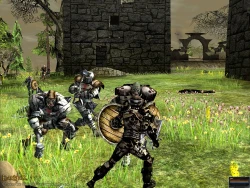 Скриншот к игре Darkfall Online