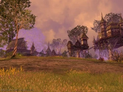 Скриншот к игре Darkfall Online