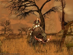 Скриншот к игре Darkfall Online