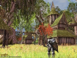 Скриншот к игре Darkfall Online