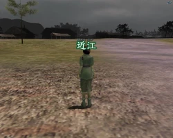 Nobunaga's Ambition Online Screenshots
