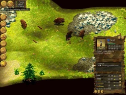 Скриншот к игре Cultures: The Discovery of Vinland