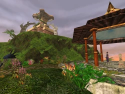 Скриншот к игре Asheron's Call 2: Legions