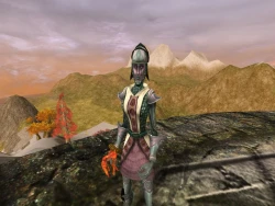 Скриншот к игре Asheron's Call 2: Legions