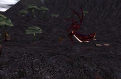 Asheron's Call 2: Legions Screenshots