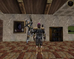 Скриншот к игре Asheron's Call: Throne of Destiny
