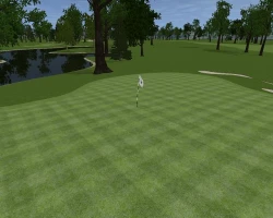 Скриншот к игре Customplay Golf