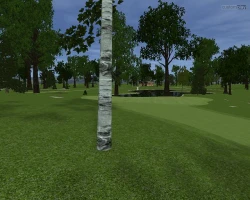 Скриншот к игре Customplay Golf