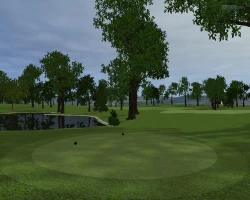 Скриншот к игре Customplay Golf