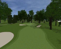 Скриншот к игре Customplay Golf