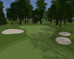 Скриншот к игре Customplay Golf